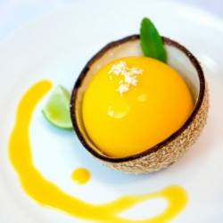 Mango Coconut Sphere